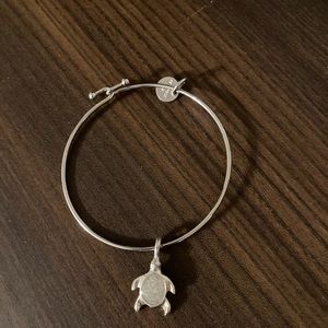 Dune bangle bracelet, turtle filled with sand